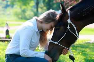 Kliknutia pre kone - podľa daného? Kliknutia pre kone - podľa daného?