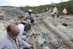 Vedci z celého sveta hľadajú pozostatky dinosaurov na vologda